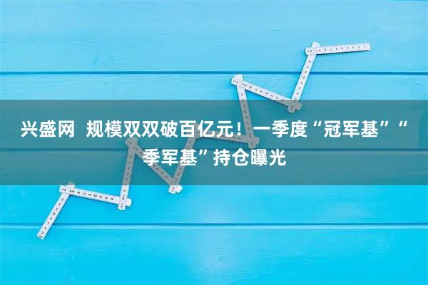 兴盛网  规模双双破百亿元！一季度“冠军基”“季军基”持仓曝光