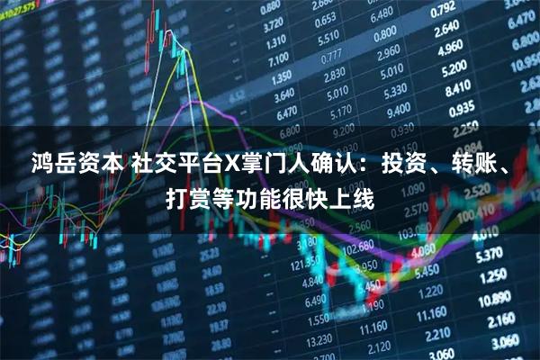 鸿岳资本 社交平台X掌门人确认：投资、转账、打赏等功能很快上线