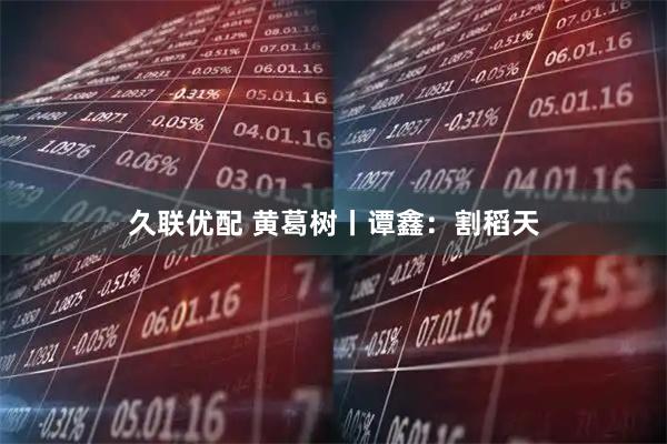 久联优配 黄葛树丨谭鑫：割稻天