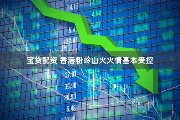 宝贷配资 香港粉岭山火火情基本受控