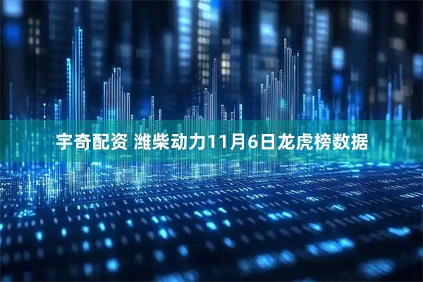 宇奇配资 潍柴动力11月6日龙虎榜数据