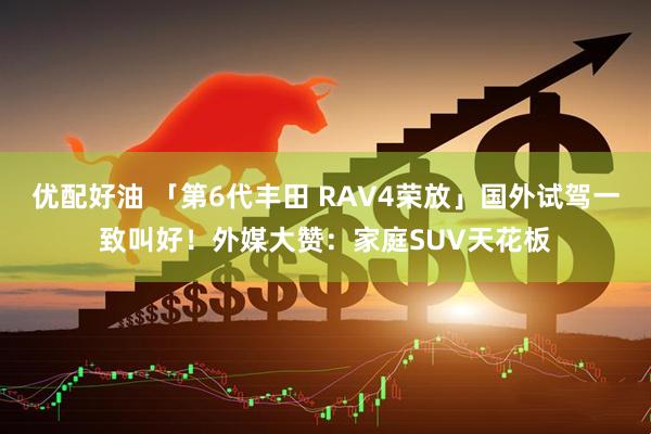 优配好油 「第6代丰田 RAV4荣放」国外试驾一致叫好！外媒大赞：家庭SUV天花板