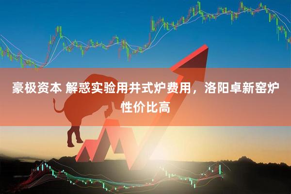 豪极资本 解惑实验用井式炉费用，洛阳卓新窑炉性价比高